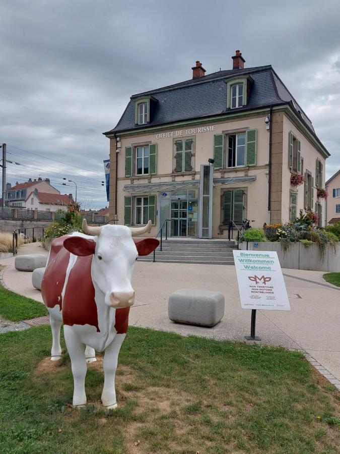 Appart' Duchatelain Lumineux, Vue Sur Chateau Montbeliard Bagian luar foto